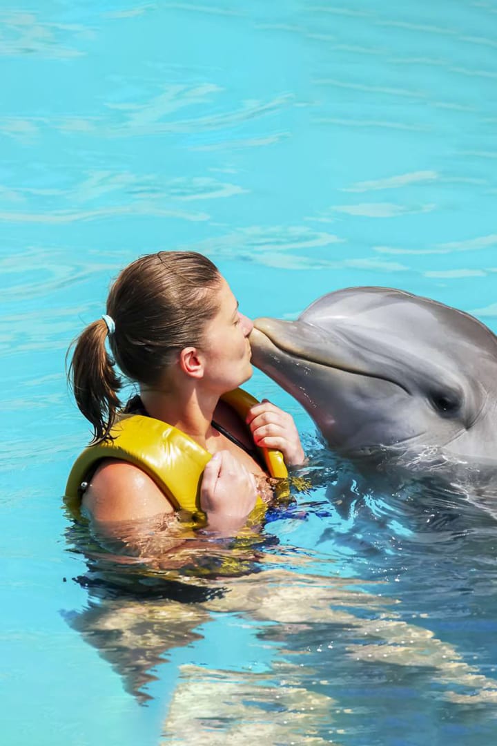Dubai Dolphinarium (Dubai Dolphin Show)