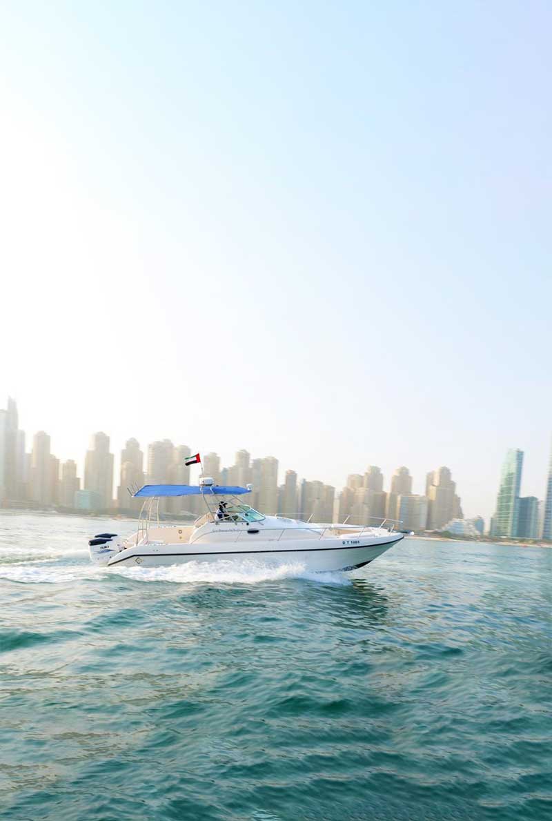 Seahawk Yacht 36ft